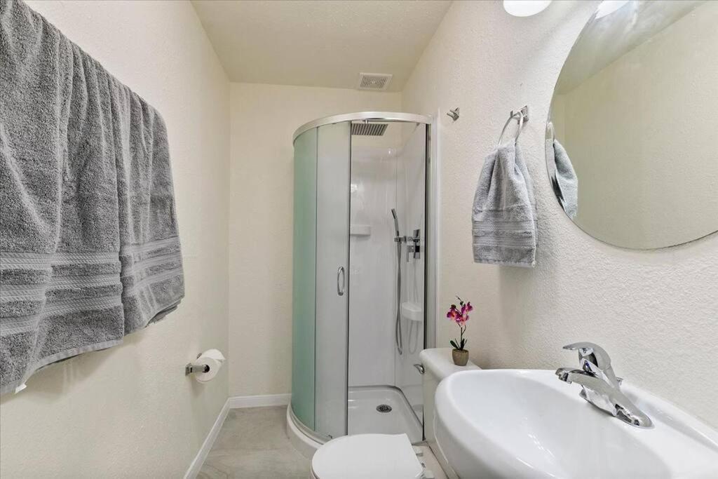 Lucky House - Tranquility In The Middle Of Houston - Tv In Every Room - 300 M2 Exteriér fotografie